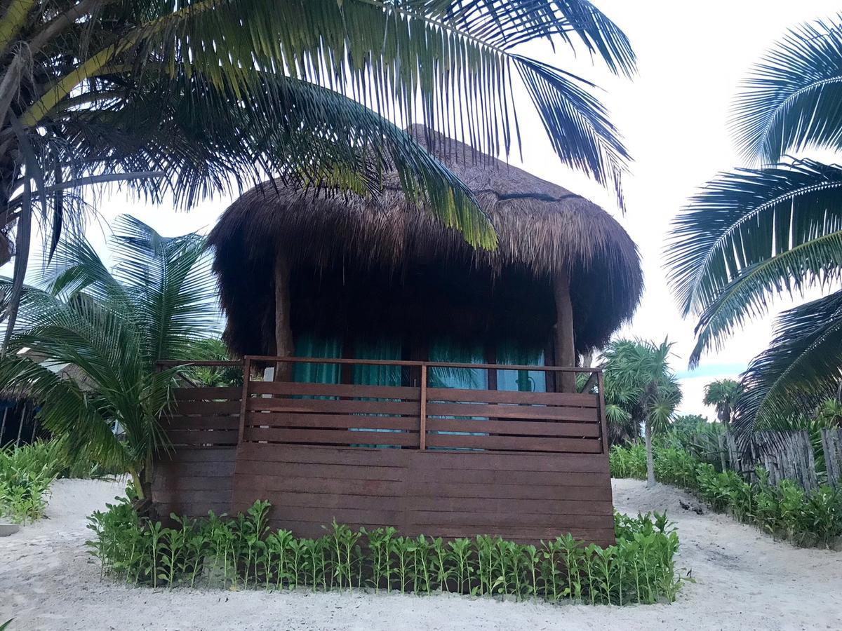 Agua Eco Design Hotel Tulum Zewnętrze zdjęcie