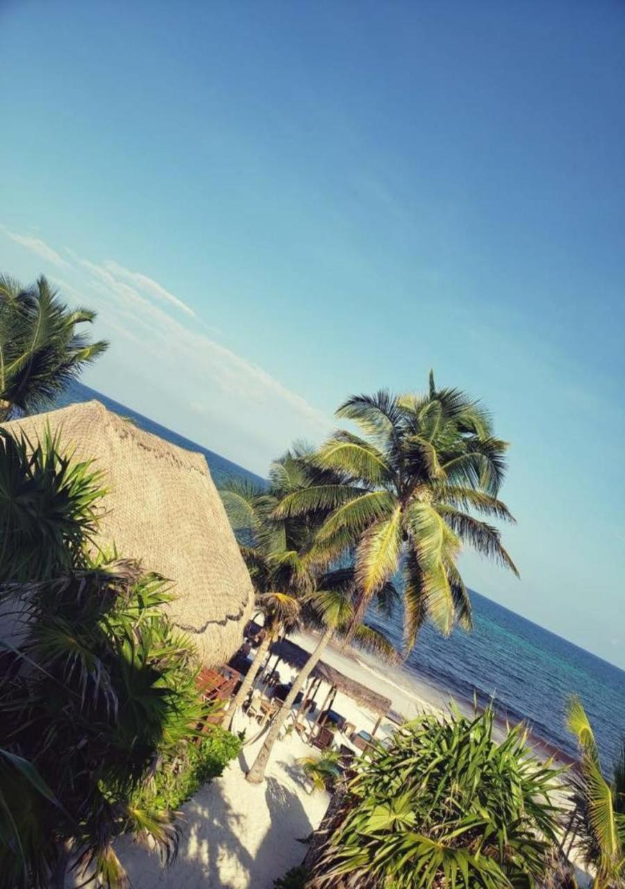 Agua Eco Design Hotel Tulum Zewnętrze zdjęcie