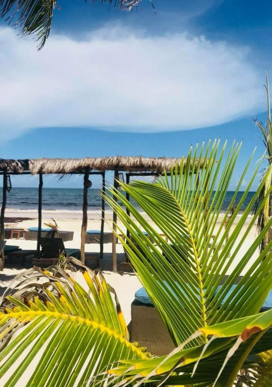 Agua Eco Design Hotel Tulum Zewnętrze zdjęcie