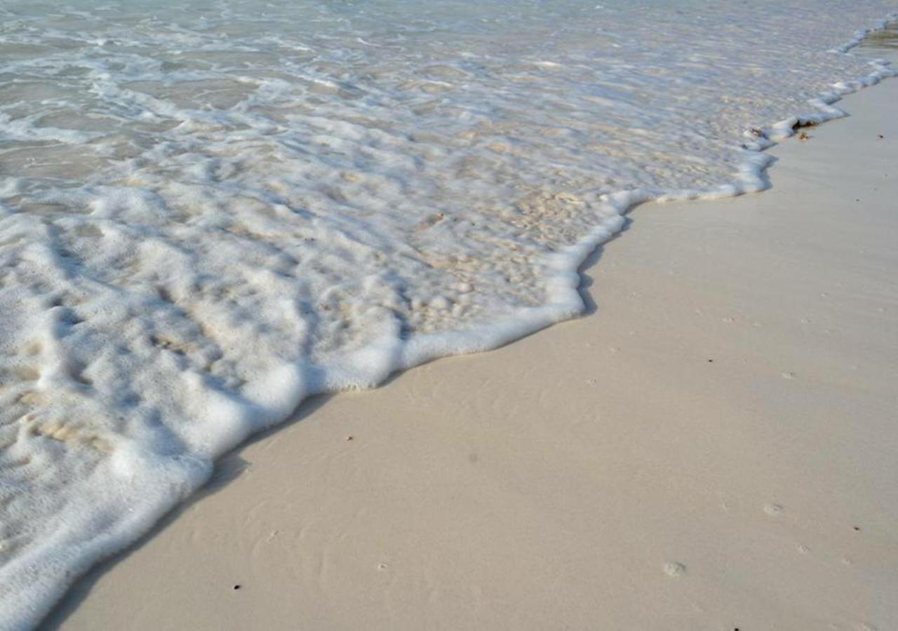 Agua Eco Design Hotel Tulum Zewnętrze zdjęcie