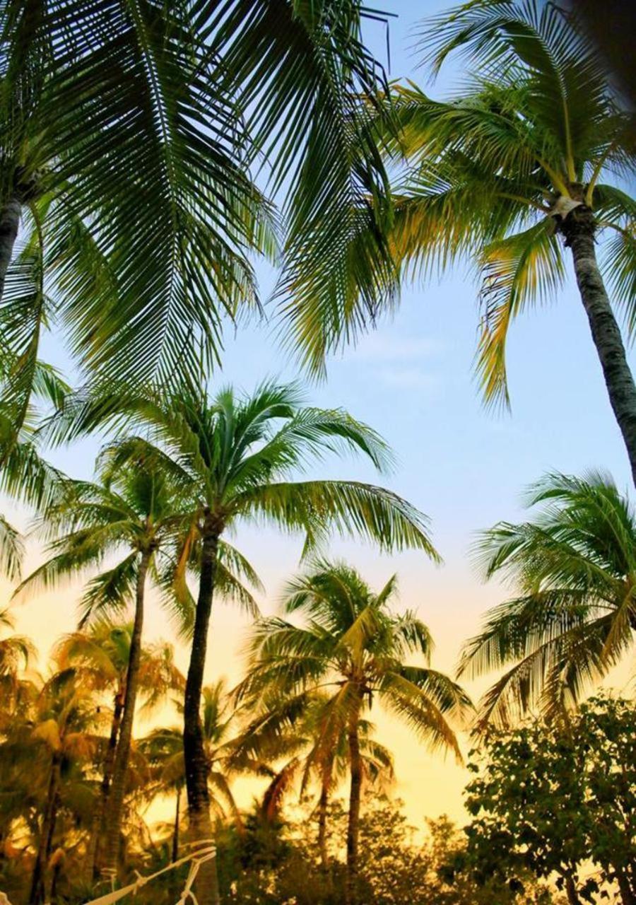 Agua Eco Design Hotel Tulum Zewnętrze zdjęcie
